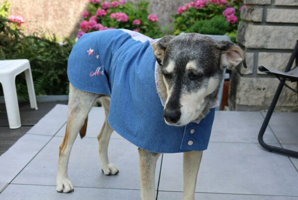 Veste en jean pour chien avec des imprimés fleuris