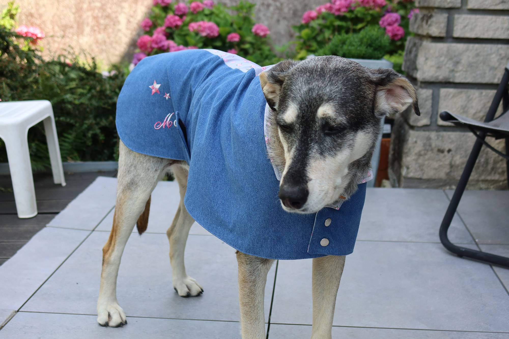 Veste en jean pour chien avec des imprimés fleuris