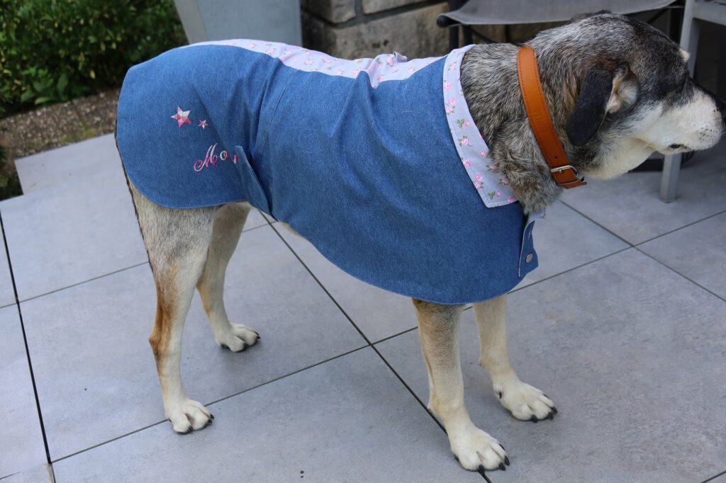 Veste en jean pour chien avec des imprimés fleuris