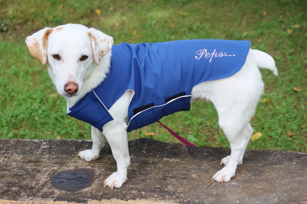 Manteau bleu imperméable fait main et personnalisé pour chien