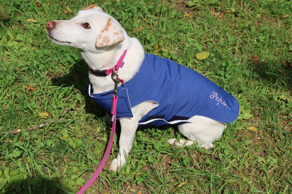 Manteau bleu imperméable fait main et personnalisé pour chien