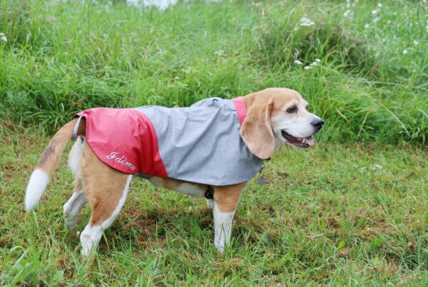 Manteau rouge et gris pour chien, personnalisable et imperméable fait sur mesure et fait main