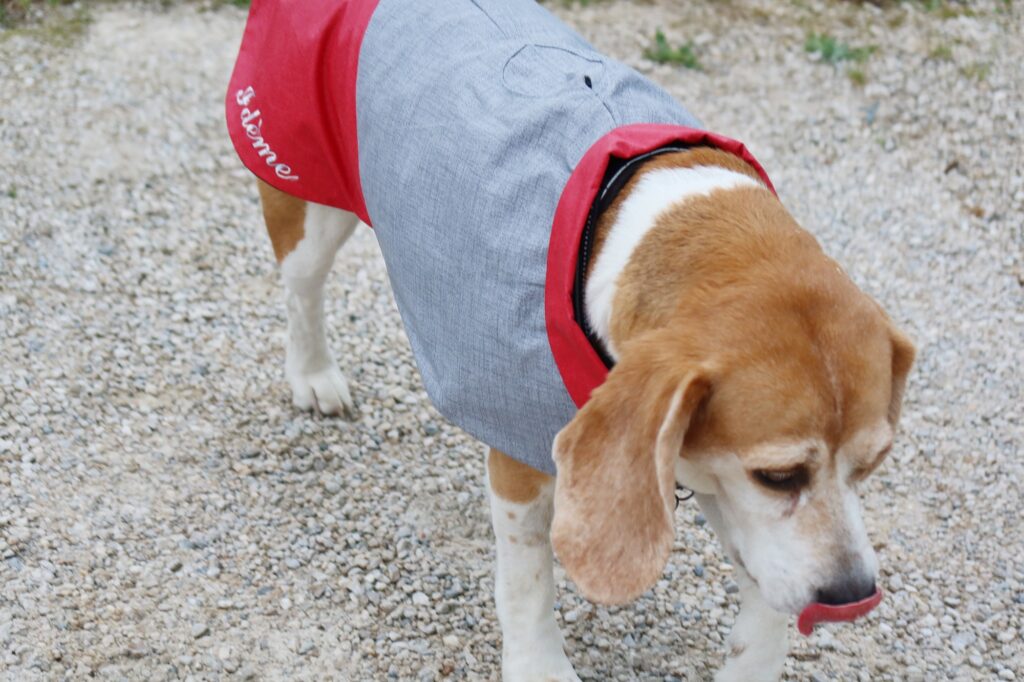 Manteau rouge et gris pour chien, personnalisable et imperméable fait sur mesure et fait main