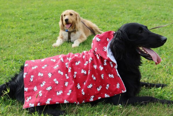 Sortie de bain rouge avec des dessins pour grand chien