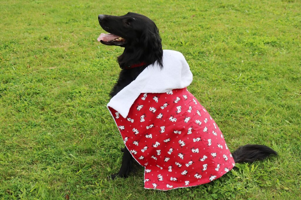 Sortie de bain rouge avec des dessins pour grand chien