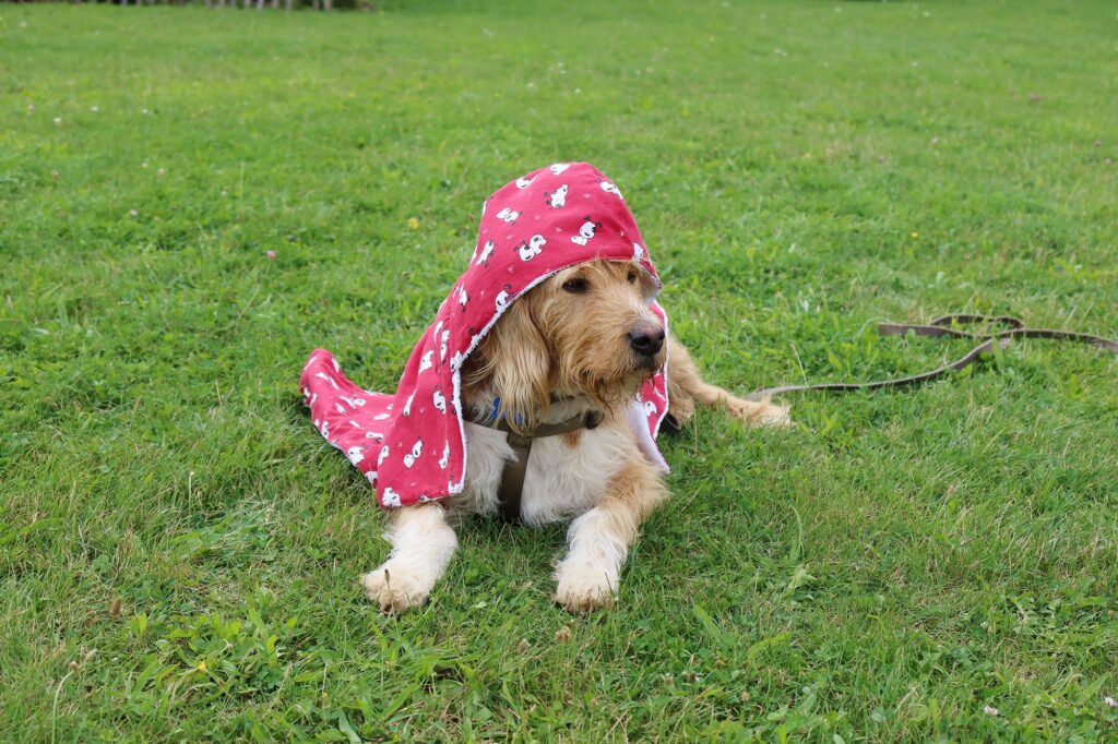 Sortie de bain rouge avec des dessins pour grand chien