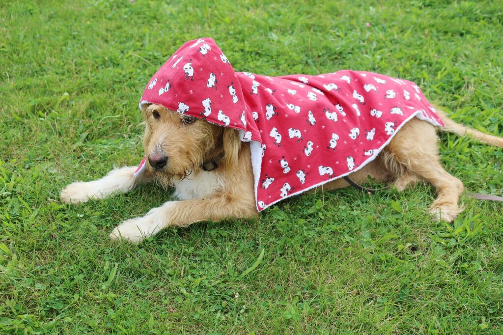 Sortie de bain rouge avec des dessins pour grand chien