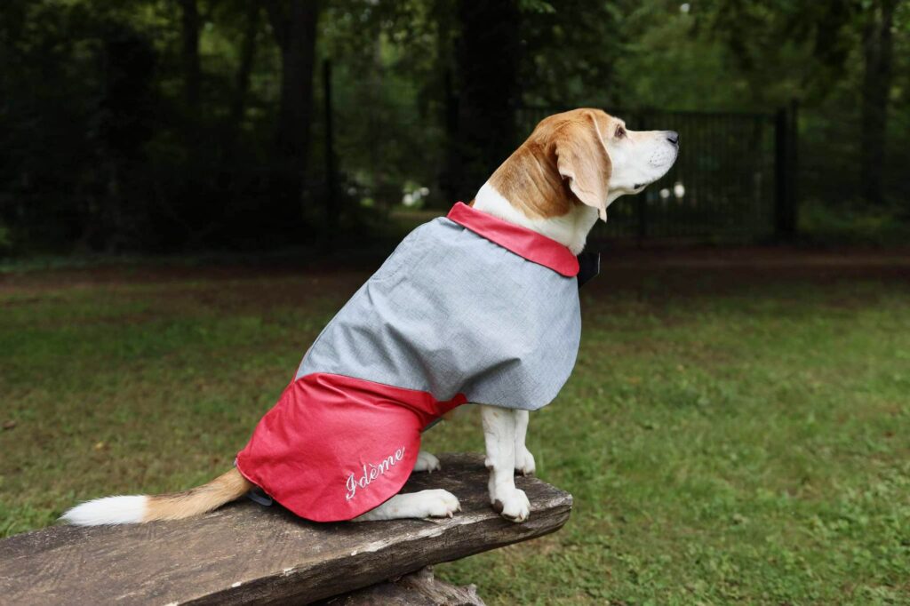 Manteau rouge et gris pour chien, personnalisable et imperméable fait sur mesure et fait main